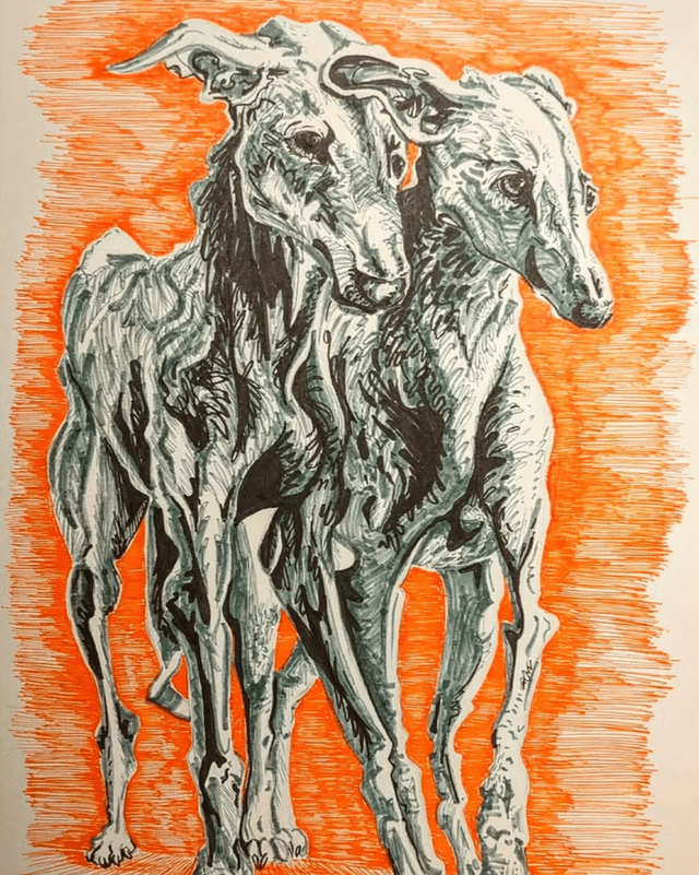 Two Whippets